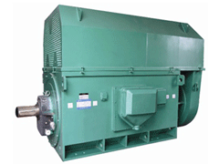 北湖Y系列6KV高压电机